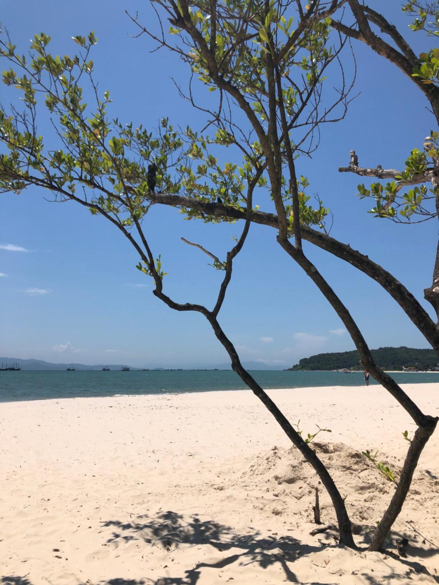 Ap Amplo Com Vista Para Mar Com 3 Suites Florianópolis Kültér fotó